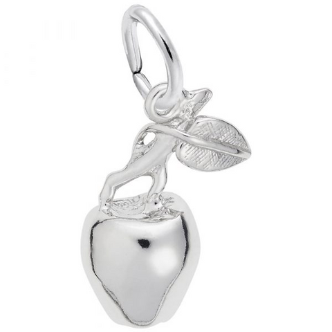 Silver Charms/Pendant