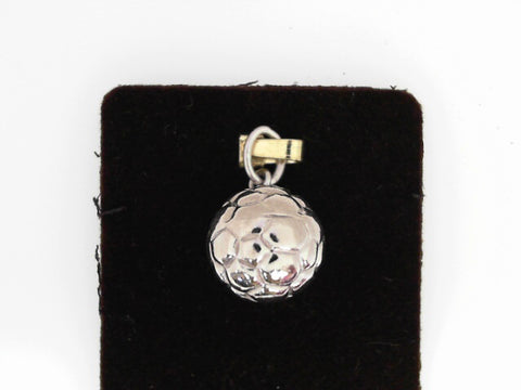 Silver Charms/Pendant