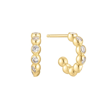 Silver Earring