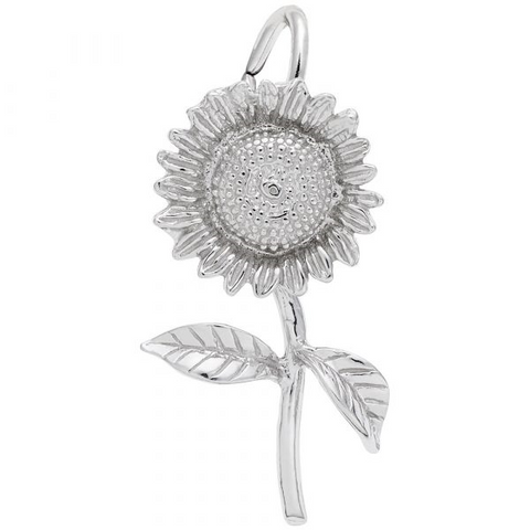 Silver Charms/Pendant