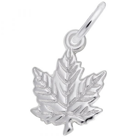 Silver Charms/Pendant