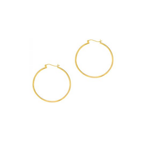 Precious Metal (No Stones) Earring