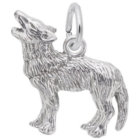 Silver Charms/Pendant
