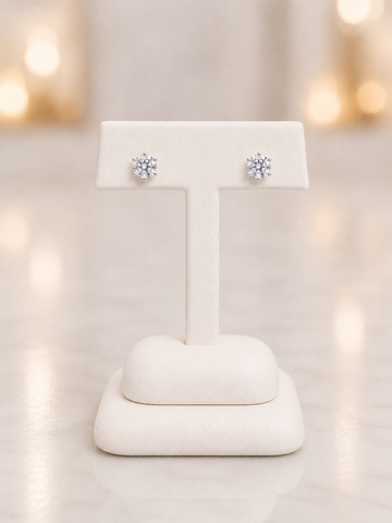 Silver Earring