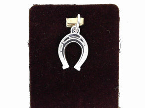 Silver Charms/Pendant
