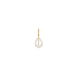 Silver Charms/Pendant