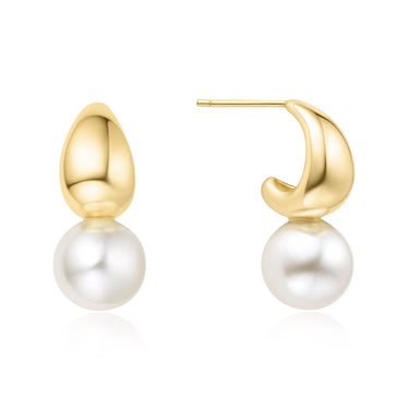 Silver Earring