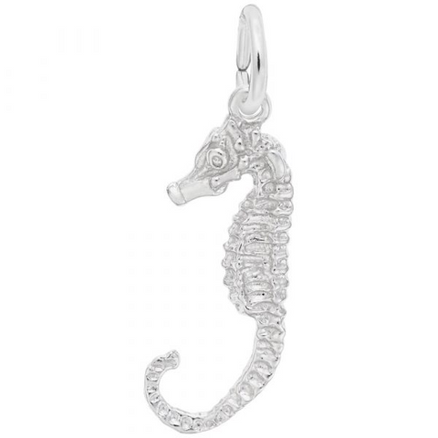 Silver Charms/Pendant