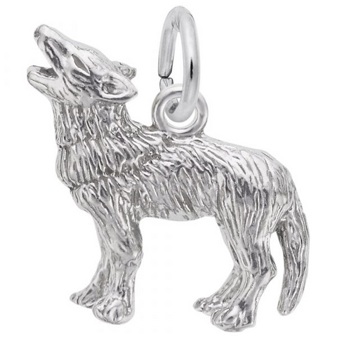 Silver Charms/Pendant