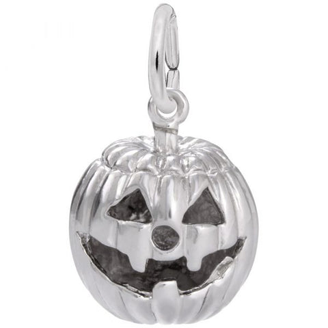 Silver Charms/Pendant