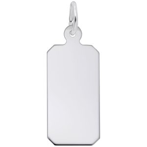 Silver Charms/Pendant