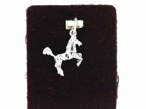 Silver Charms/Pendant