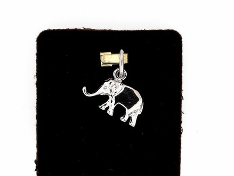 Silver Charms/Pendant