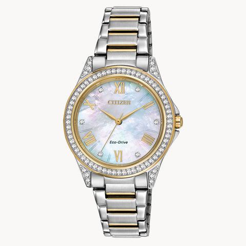 Watches  -  Dre