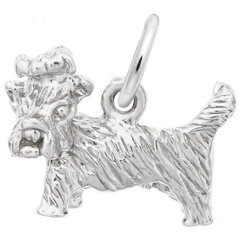 Silver Charms/Pendant