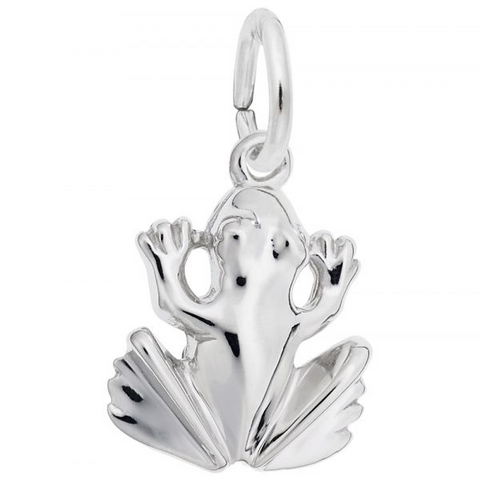 Silver Charms/Pendant