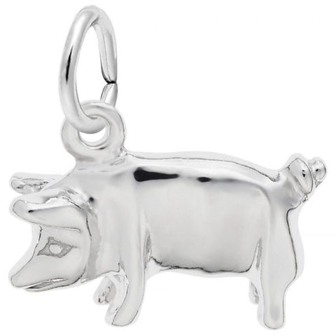 Silver Charms/Pendant