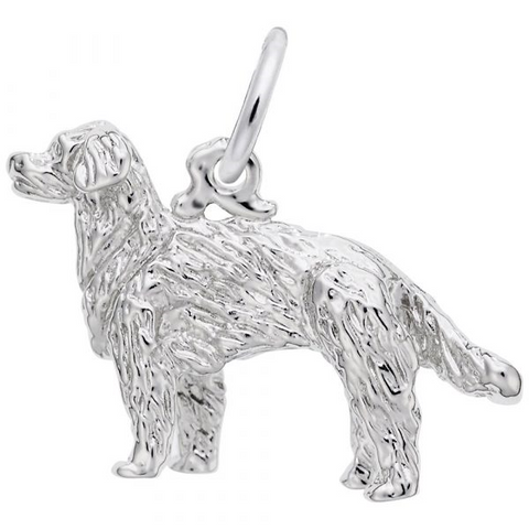 Silver Charms/Pendant