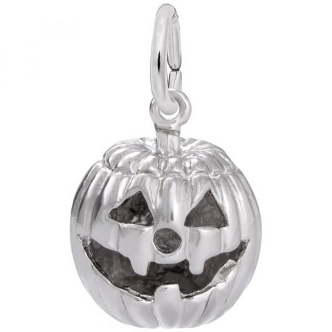 Silver Charms/Pendant