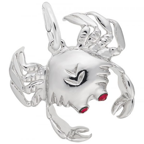 Silver Charms/Pendant