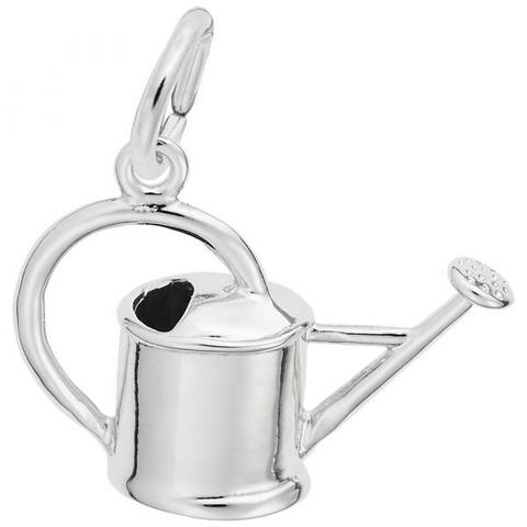 Silver Charms/Pendant